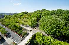 便利的交通路线 紧邻昭和大学横滨市北部医院。